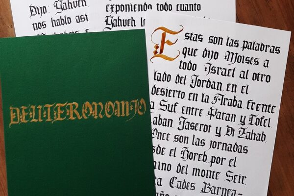 Libro del Deuteronomio Gótica textura Quadrata