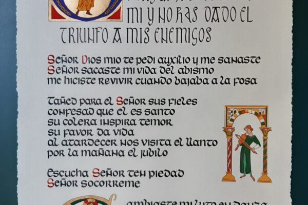Salmo 30 Letra Insular Anglosajona semiuncial